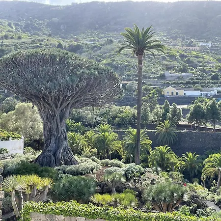 Rooftop View Escape - 1 Minute To Center And Fast Wi-fi *